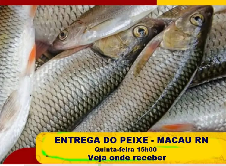 A Prefeitura de Macau, por meio da Secretaria Municipal do Trabalho, Habitação e Assistência Social (SEMTHAS), realiza nesta quinta-feira (17) a tradicional entrega do pescado da Semana Santa para as famílias em situação de vulnerabilidade social.