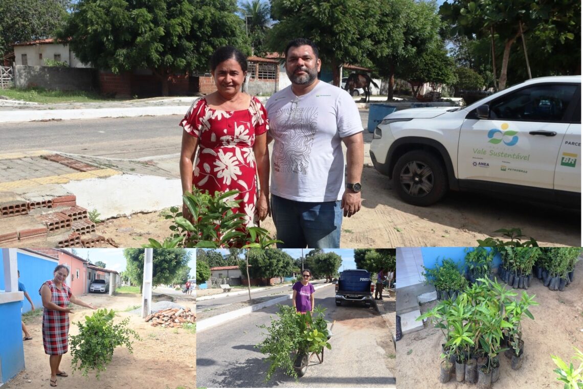 PROJETO VALE SUSTENTÁVEL FORTALECE AGRICULTURA FAMILIAR COM ENTREGA DE MUDAS FRUTÍFERAS EM COMUNIDADES RURAIS DE GUAMARÉ